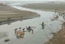 Bodies of Covid-19 victims among those dumped in Ganga river
